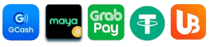 jljl33 website image 20 showing payment